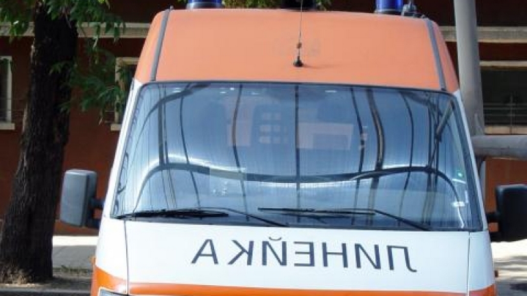 Ухапаният от змия в Момчиловци е в болница