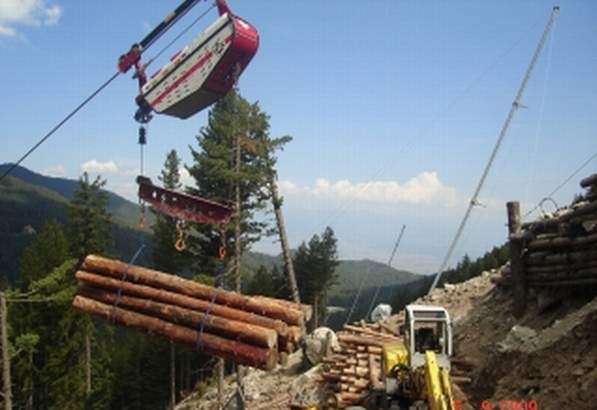 90 000 лева плаща ДГС Доспат на пострадал при дърводобив работник
